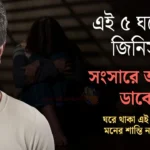 Top 5 Household Things That Negatively Affect Mental Peace at Home