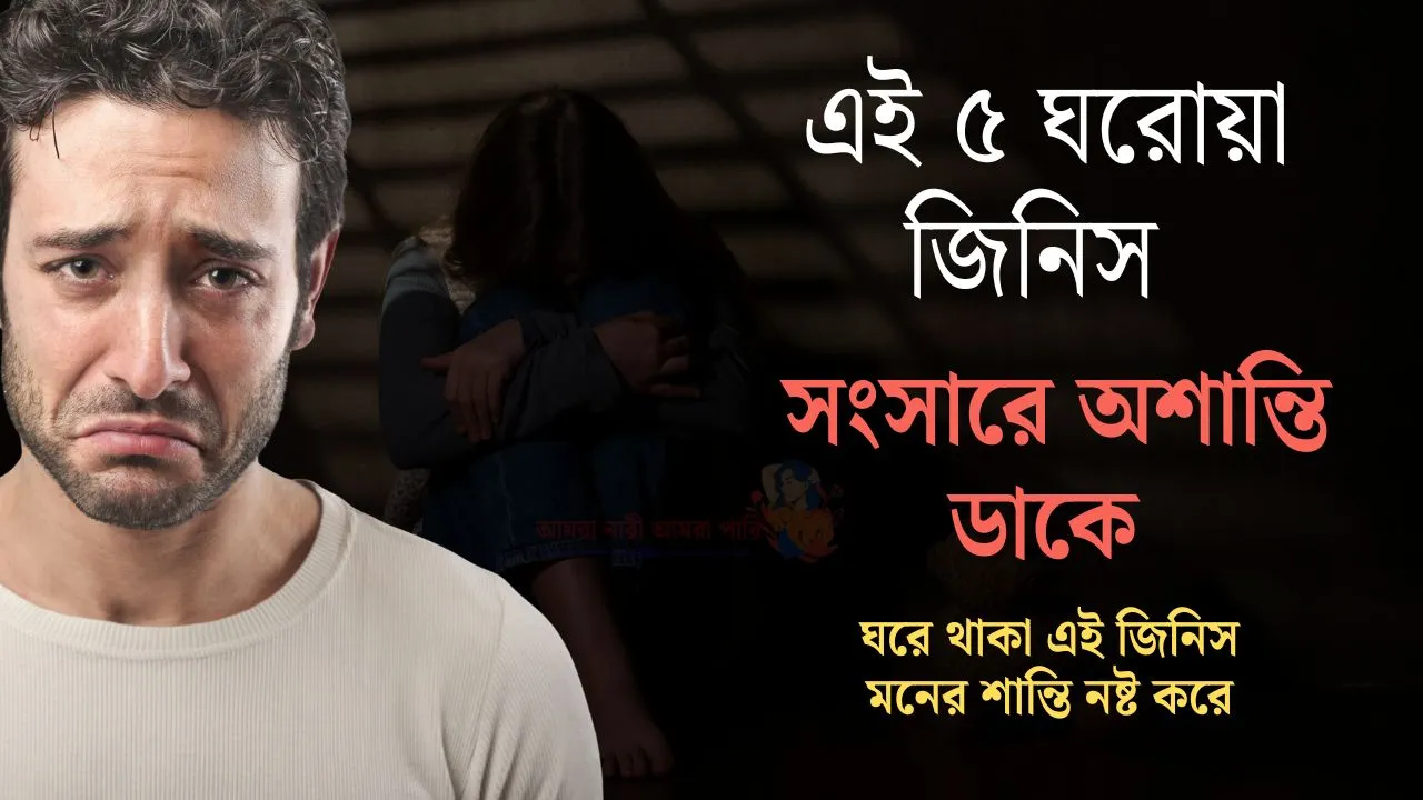 দু’ দিন ছাড়া সংসারে অশান্তি! মনের শান্তি নষ্ট করে যে ৫ ঘরোয়া জিনিস